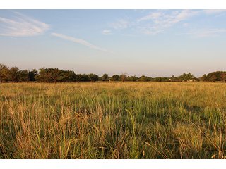 Tract 4 - LAND AUCTION - 440+/- Acres offered in 15 Tracts in Tulsa County